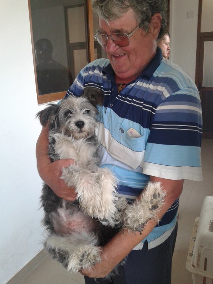 Photo 6 from ROMANIA ANIMAL RESCUE INC DBA ANIMAL SPAY NEUTER INTL
